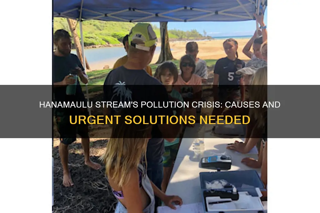 why is hanamaulu sream so polluted