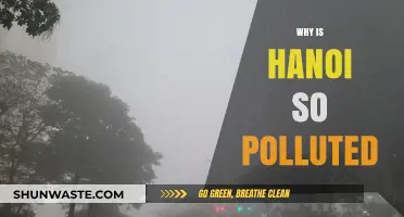 Hanoi's Air Quality Crisis: Causes and Urgent Solutions Needed