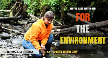 Hard Water's Hidden Harm: Environmental Impacts and Sustainable Solutions