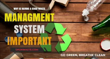 Sustainable Futures: The Critical Role of Effective Waste Management