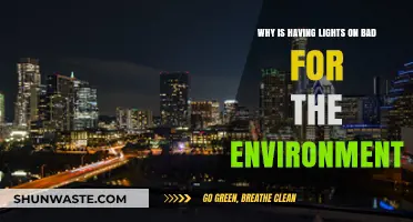 Bright Lights, Big Impact: How Illumination Harms Our Planet