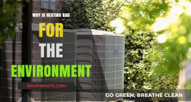 Heating's Hidden Costs: Environmental Impacts and Sustainable Alternatives
