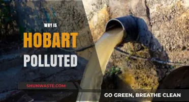 Understanding Hobart's Pollution Crisis: Causes and Environmental Impact