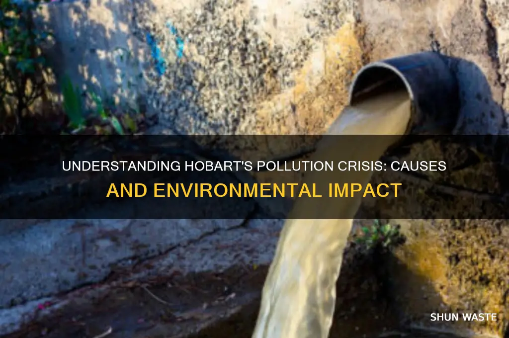 why is hobart polluted