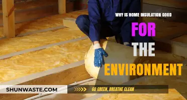 Eco-Friendly Homes: How Insulation Reduces Energy Use and Carbon Footprint