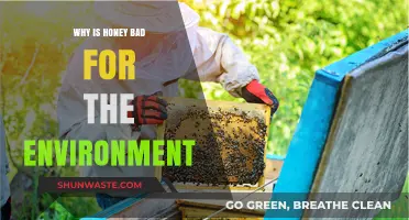 Honey's Hidden Impact: How Its Production Harms Our Environment
