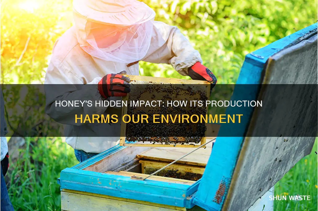 why is honey bad for the environment