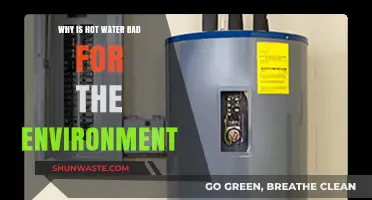 Hot Water's Hidden Cost: Environmental Impact and Sustainable Alternatives