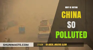 Unveiling Hotan's Pollution Crisis: Causes and Environmental Impact in China