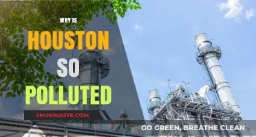 Houston's Pollution Crisis: Causes, Impacts, and Urgent Solutions Needed