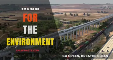 High-Speed Rail's Hidden Environmental Costs: A Critical Analysis