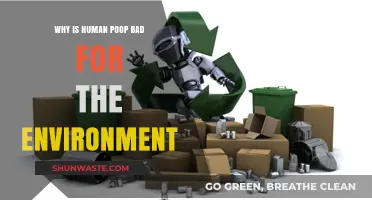 Human Waste's Environmental Impact: Uncovering the Hidden Ecological Consequences