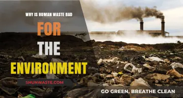 Human Waste's Environmental Impact: Pollution, Health Risks, and Ecosystem Destruction