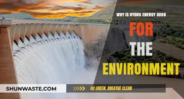 Hydro Energy: A Sustainable, Eco-Friendly Power Source for Our Planet