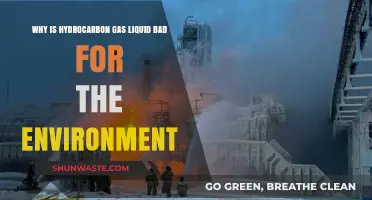 Hydrocarbon Gas Liquids: Environmental Impacts and Sustainable Alternatives