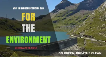 Hydroelectricity's Hidden Costs: Environmental Impacts and Ecosystem Disruption Explained