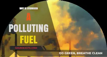 Hydrogen Fuel's Dark Side: Uncovering Its Hidden Environmental Impact