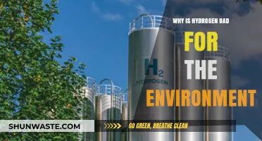Hydrogen's Environmental Impact: Uncovering the Hidden Ecological Downsides