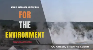Hydrogen Sulfide's Environmental Impact: Harmful Effects and Ecological Concerns