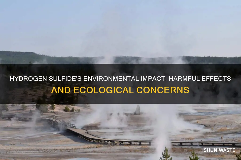 why is hydrogen sulfide bad for the environment