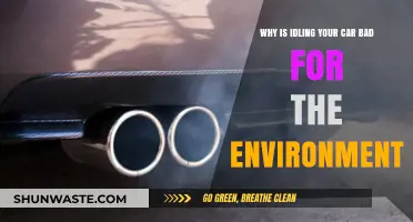 Idling Cars: Harmful Environmental Impact and Sustainable Alternatives
