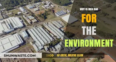 Ikea's Environmental Impact: Uncovering the Hidden Costs of Fast Furniture