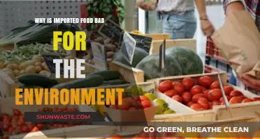 Imported Food's Hidden Costs: Environmental Impact and Sustainable Alternatives