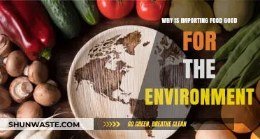 Sustainable Global Trade: How Food Imports Benefit Our Environment