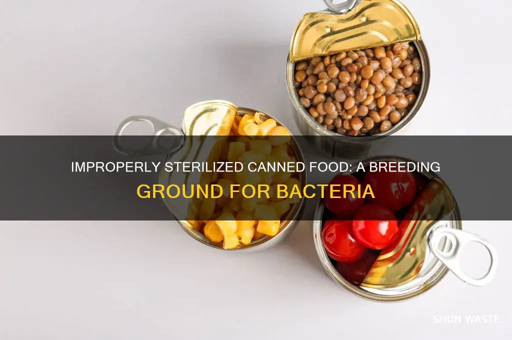 why is improperly sterilized canned food an ideal environment for