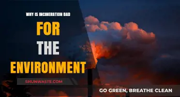 Incineration's Environmental Impact: Pollution, Health Risks, and Climate Concerns