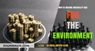Income Inequality's Environmental Toll: How Wealth Disparity Harms Our Planet
