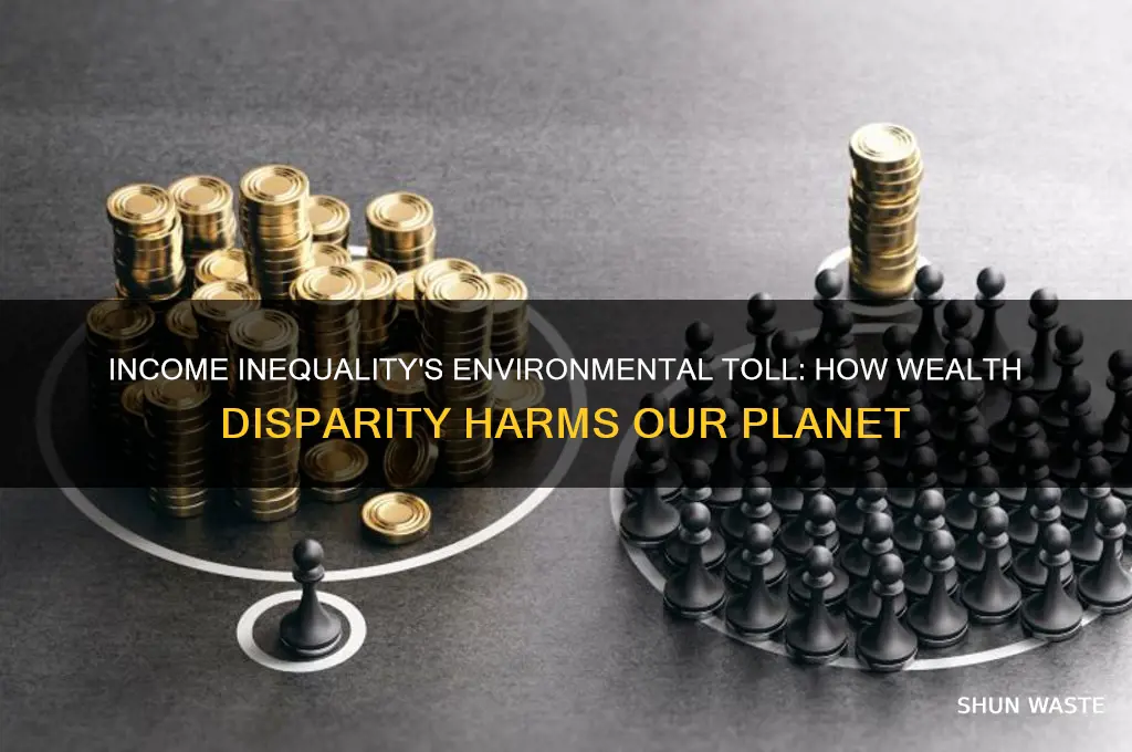 why is income inequality bad for the environment