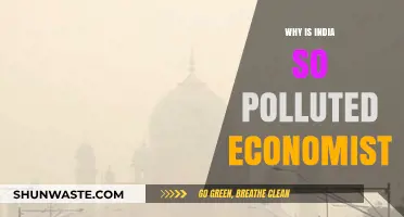 India's Pollution Crisis: Economic Factors Driving Environmental Degradation