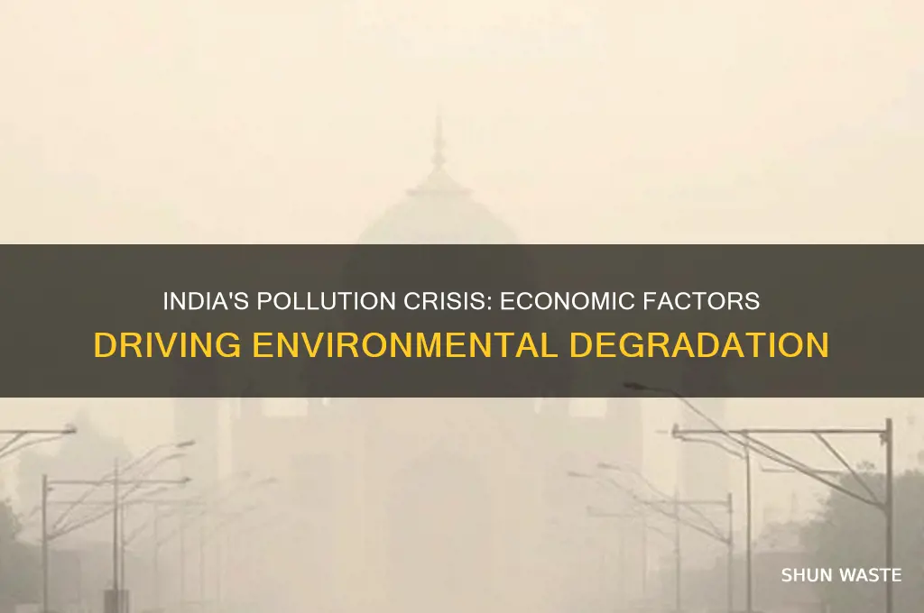 why is india so polluted economist