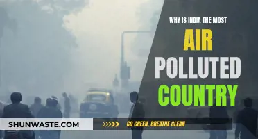 Air Pollution Crisis: India's Dark, Smoky Reality