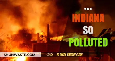 Indiana's Pollution Crisis: Uncovering the Causes and Consequences