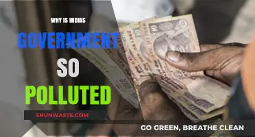 Corruption, Inefficiency, and Power: Unraveling India's Polluted Governance Crisis