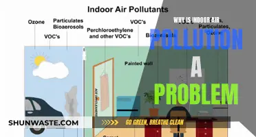 Air Quality Alert: Indoor Pollution's Hidden Dangers