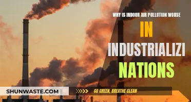 Industrialization's Indoor Air Pollution: A Global Health Crisis