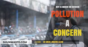 Indoor and Outdoor Pollution: A Growing Health and Environmental Concern