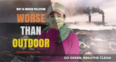 Indoor Air Quality Crisis: Why Home Pollution Surpasses Outdoor Threats
