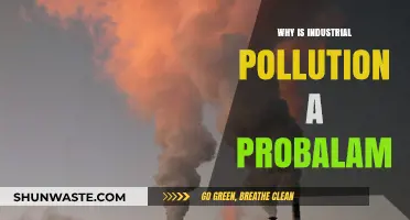 Industrial Pollution's Devastating Impact: A Growing Global Environmental Crisis