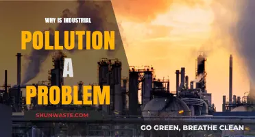 Industrial Pollution's Devastating Impact: A Growing Global Environmental Crisis