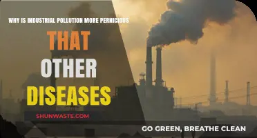 Industrial Pollution's Silent Threat: Deadlier Than Many Diseases, Why?