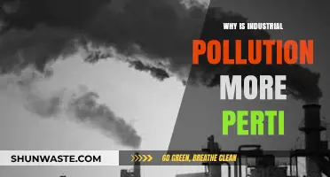 Industrial Pollution's Persistent Impact: Causes, Consequences, and Urgent Solutions