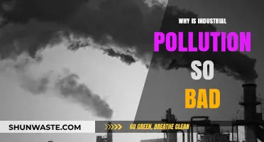 Industrial Pollution's Devastating Impact: Causes, Consequences, and Urgent Solutions
