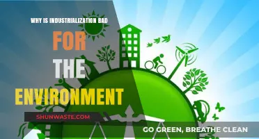 Industrialization's Dark Side: Environmental Degradation and Unsustainable Practices