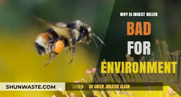 Insect Killers Harm Ecosystems: Unseen Environmental Consequences Revealed