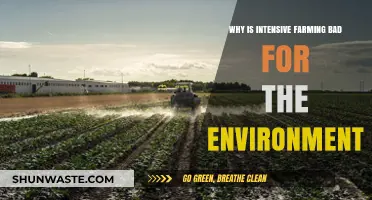 Intensive Farming's Environmental Impact: Soil, Water, and Biodiversity at Risk