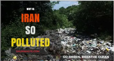 Iran's Pollution Crisis: Causes, Impacts, and Urgent Solutions Needed